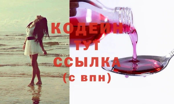 индика Абаза