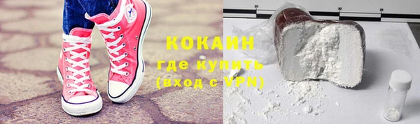 индика Абаза