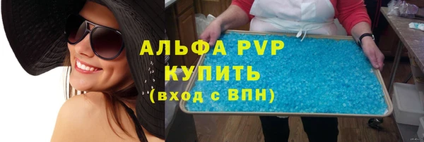 индика Абаза