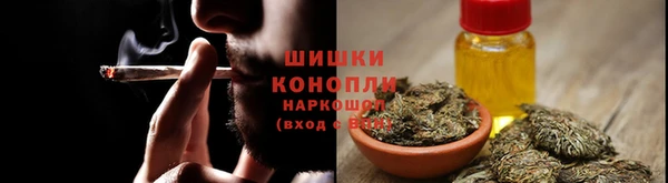 соль ск Новодвинск