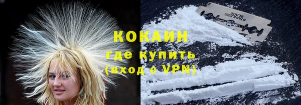 индика Абаза