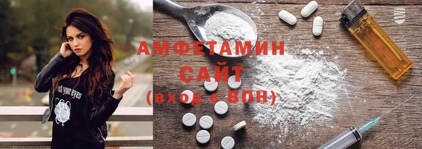 индика Абаза