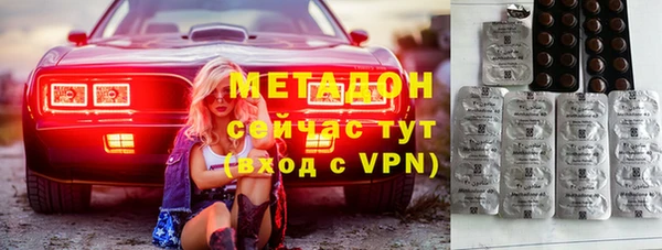 индика Абаза