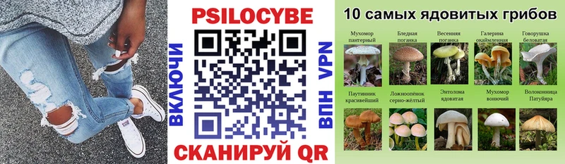 Галлюциногенные грибы прущие грибы  Торопец 